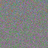 iplaysh_t 的头像