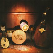 Living Spoon