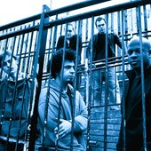 pest (ninja tune / electric blue)
