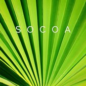 Socoa (Leaf)