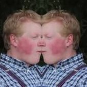 mqdefault.jpg