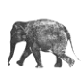 Аватар для ElephantDungeon