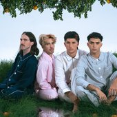 silvestre-y-la-naranja-1554667.jpg