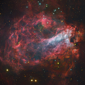 Dormant_Nebula 的头像