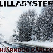 Cover for Hjärndöd kärlek