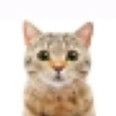 Avatar for urieal10