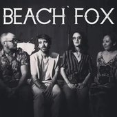 BEACH FOX