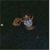 Spleenboy31 的头像
