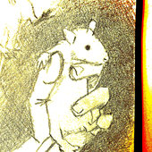 purin666 的头像