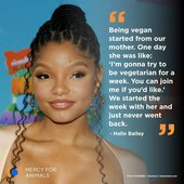 Halle Bailey