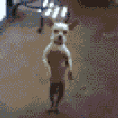 867_5309 的头像