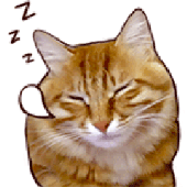 Avatar for Muzorki