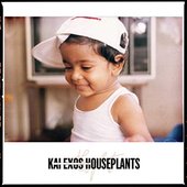 HOUSEPLANTS