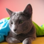 LastFM profile picture for @Emin