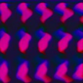 Motion Studies