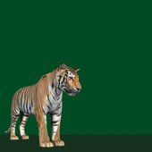 CGI Tiger - EP