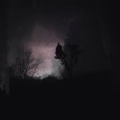 radio​​.​​transmissions on frequencies outside the bandwidth (even tvs are banned from the net, and the postal system is rapidly filling with cables)