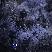 Bantu Hologram