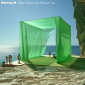 I Don't Wanna Be Without You - Single
