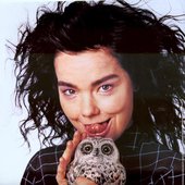Björk & Owl