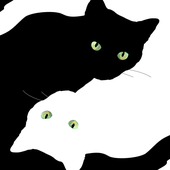 Avatar for felipesanmartin