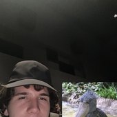 gang