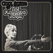 The Flamingo Jones