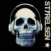 Styrelsen