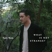 What Is Not Strange?