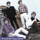 The Zany Woodruff Operation