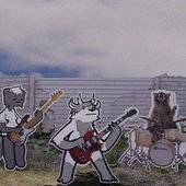 IMG_5084.jpeg