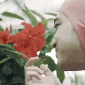 Pink Guy Smelling the Flowers