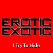 I Try To Hide