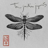 Tu Jardín Japonés