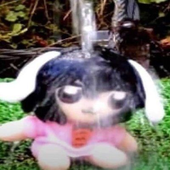 kitfungus 的头像