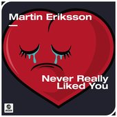Never Really Liked You - Single