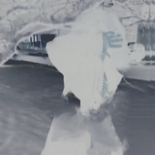 eyes lit snowy invert
