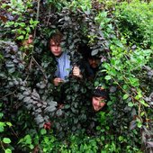 four in the bush