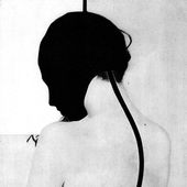 morosvoid 的头像