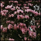 Discography 2016-2017