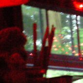 0033036636_10.jpg