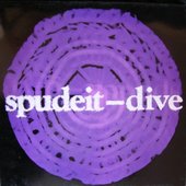 12\" single cover