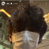 Ly_mell 的头像