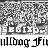 bulldoggfirm.png