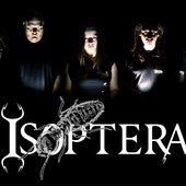 Isoptera