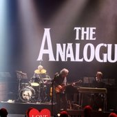 The Analogues (Netherlands)