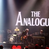 The Analogues (Netherlands)