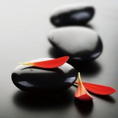Red Zen