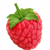 snobberry için avatar