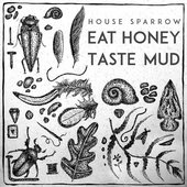 Eat Honey, Taste Mud